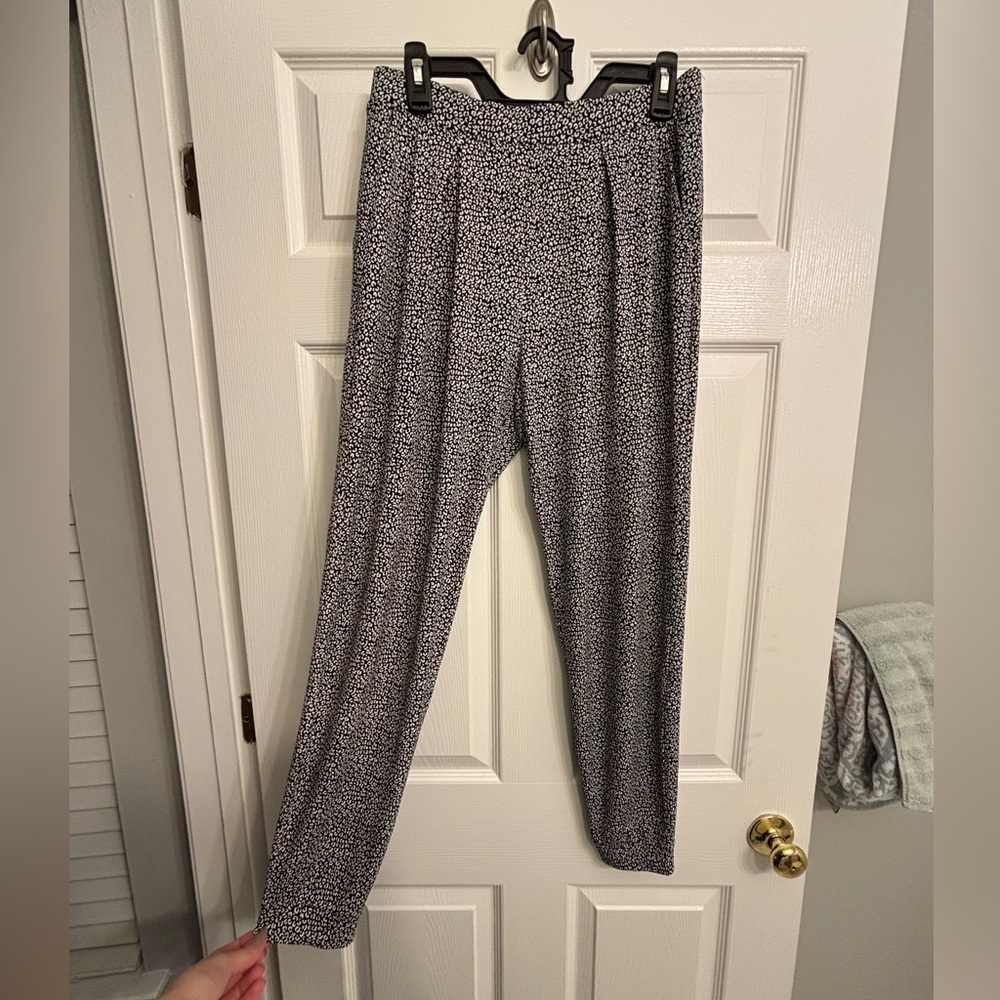 Express Baggy Jogger Pants *Runs big